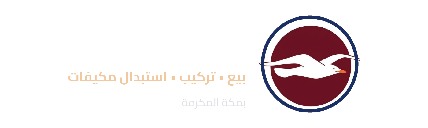 النورس